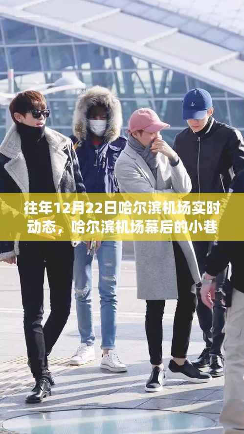 揭秘哈尔滨机场幕后小巷的神秘小店,往年12月22日实时动态奇趣之旅