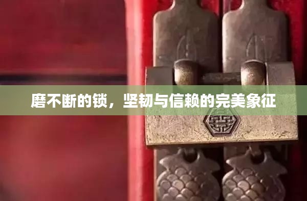 磨不断的锁,坚韧与信赖的完美象征