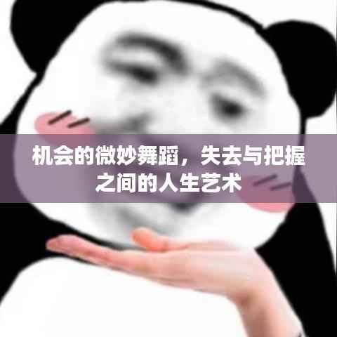 机会的微妙舞蹈，失去与把握之间的人生艺术