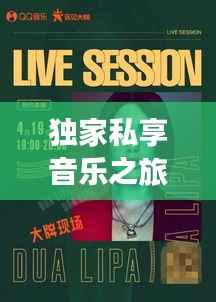 独家私享音乐之旅,探索音乐的私密世界