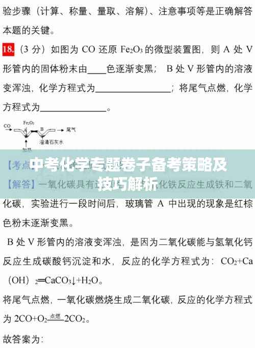 中考化学专题卷子备考策略及技巧解析