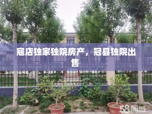 寇店独家独院房产,冠县独院出售