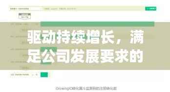 驱动持续增长,满足公司发展要求的关键引擎