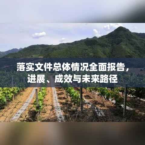 落实文件总体情况全面报告,进展、成效与未来路径