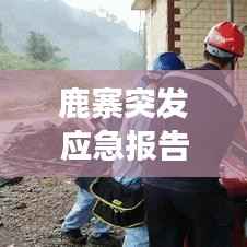 鹿寨突发应急报告电话,鹿寨县应急局