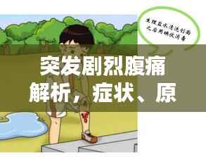 突发剧烈腹痛解析,症状、原因及应对之道