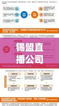 锡盟直播公司排行榜及行业深度剖析