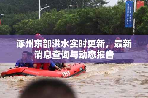 涿州东部洪水实时更新,最新消息查询与动态报告