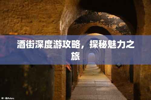 酒街深度游攻略,探秘魅力之旅