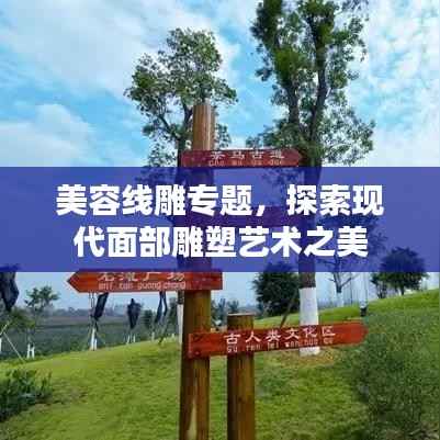 美容线雕专题,探索现代面部雕塑艺术之美