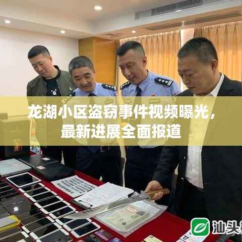 龙湖小区盗窃事件视频曝光,最新进展全面报道