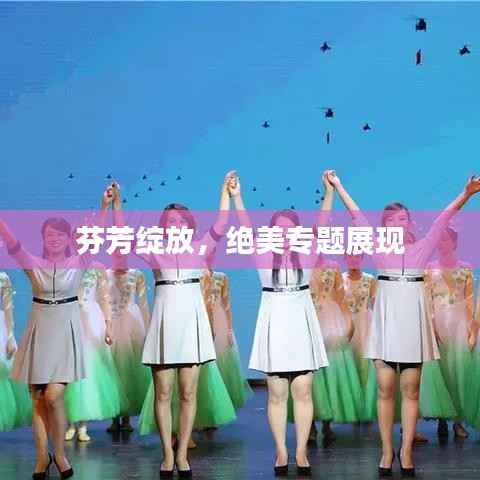 芬芳绽放,绝美专题展现