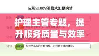 护理主管专题，提升服务质量与效率的核心要素解析