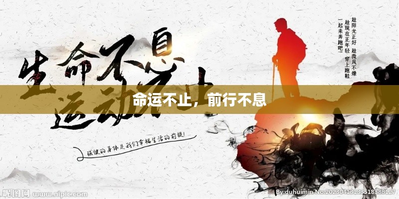 命运不止,前行不息