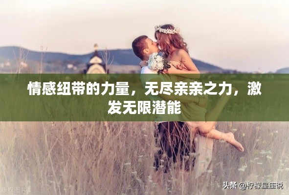 情感纽带的力量,无尽亲亲之力,激发无限潜能