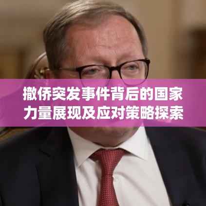 撤侨突发事件背后的国家力量展现及应对策略探索