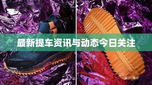 最新提车资讯与动态今日关注