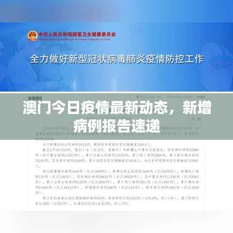 澳门今日疫情最新动态,新增病例报告速递