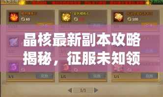 晶核最新副本攻略揭秘,征服未知领域的秘诀!