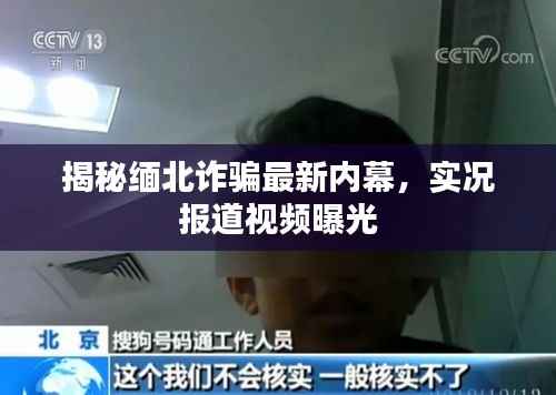 揭秘缅北诈骗最新内幕,实况报道视频曝光