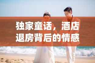 独家童话,酒店退房背后的情感与记忆之旅
