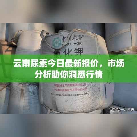 云南尿素今日最新报价,市场分析助你洞悉行情