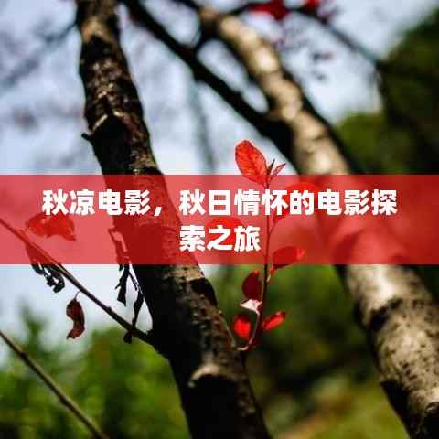 秋凉电影,秋日情怀的电影探索之旅