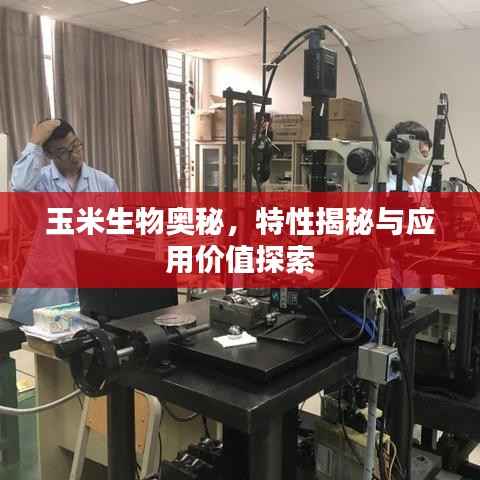 玉米生物奥秘,特性揭秘与应用价值探索