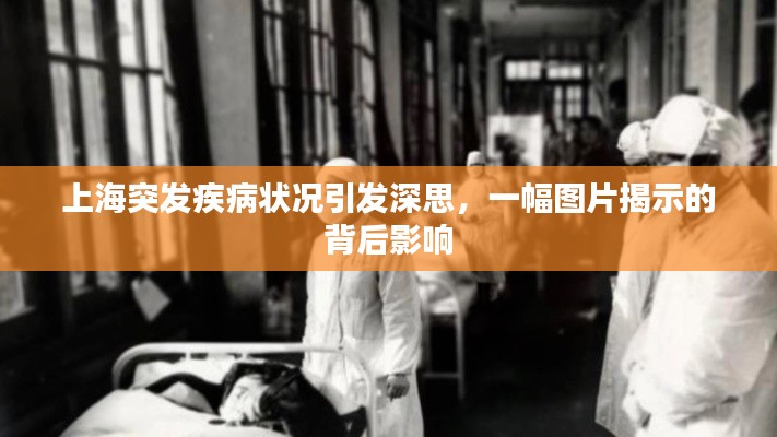 上海突发疾病状况引发深思,一幅图片揭示的背后影响