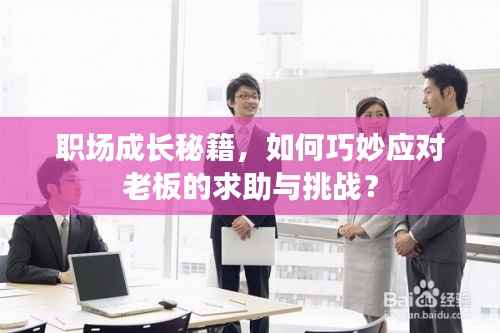 职场成长秘籍,如何巧妙应对老板的求助与挑战?
