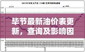 毕节最新油价表更新,查询及影响因素深度解析