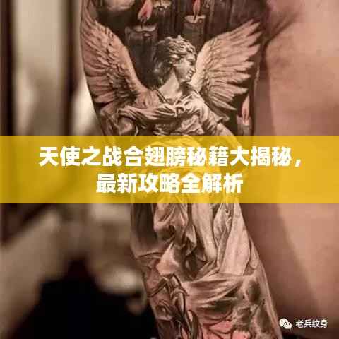 天使之战合翅膀秘籍大揭秘,最新攻略全解析