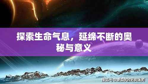 探索生命气息，延绵不断的奥秘与意义