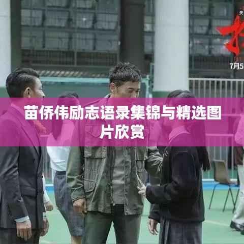 苗侨伟励志语录集锦与精选图片欣赏