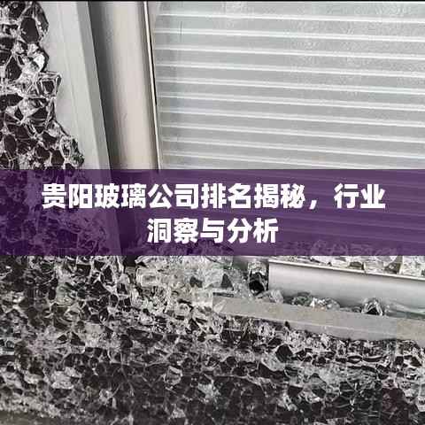 贵阳玻璃公司排名揭秘,行业洞察与分析