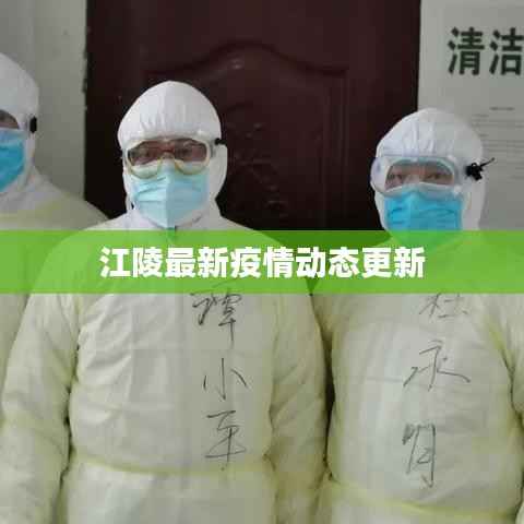 江陵最新疫情动态更新