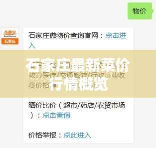石家庄最新菜价行情概览