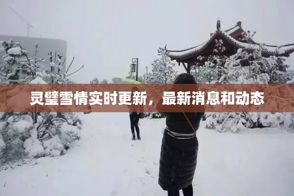 灵璧雪情实时更新，最新消息和动态