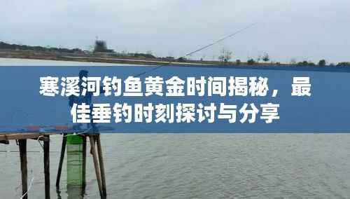 寒溪河钓鱼黄金时间揭秘,最佳垂钓时刻探讨与分享