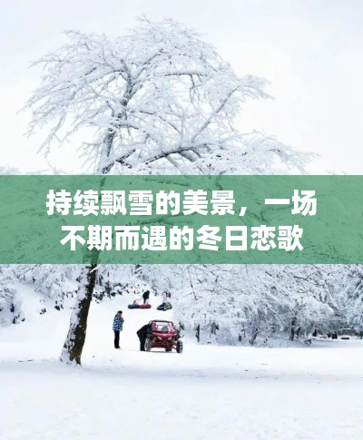 持续飘雪的美景,一场不期而遇的冬日恋歌