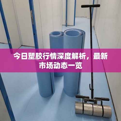 今日塑胶行情深度解析，最新市场动态一览