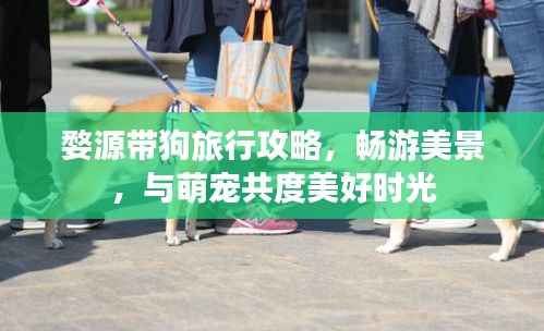 婺源带狗旅行攻略，畅游美景，与萌宠共度美好时光