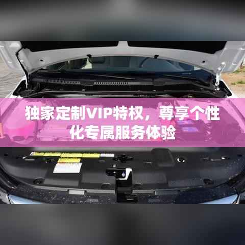 独家定制VIP特权,尊享个性化专属服务体验