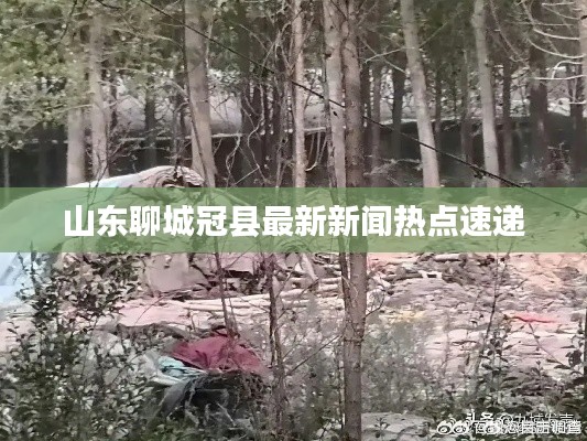 山东聊城冠县最新新闻热点速递
